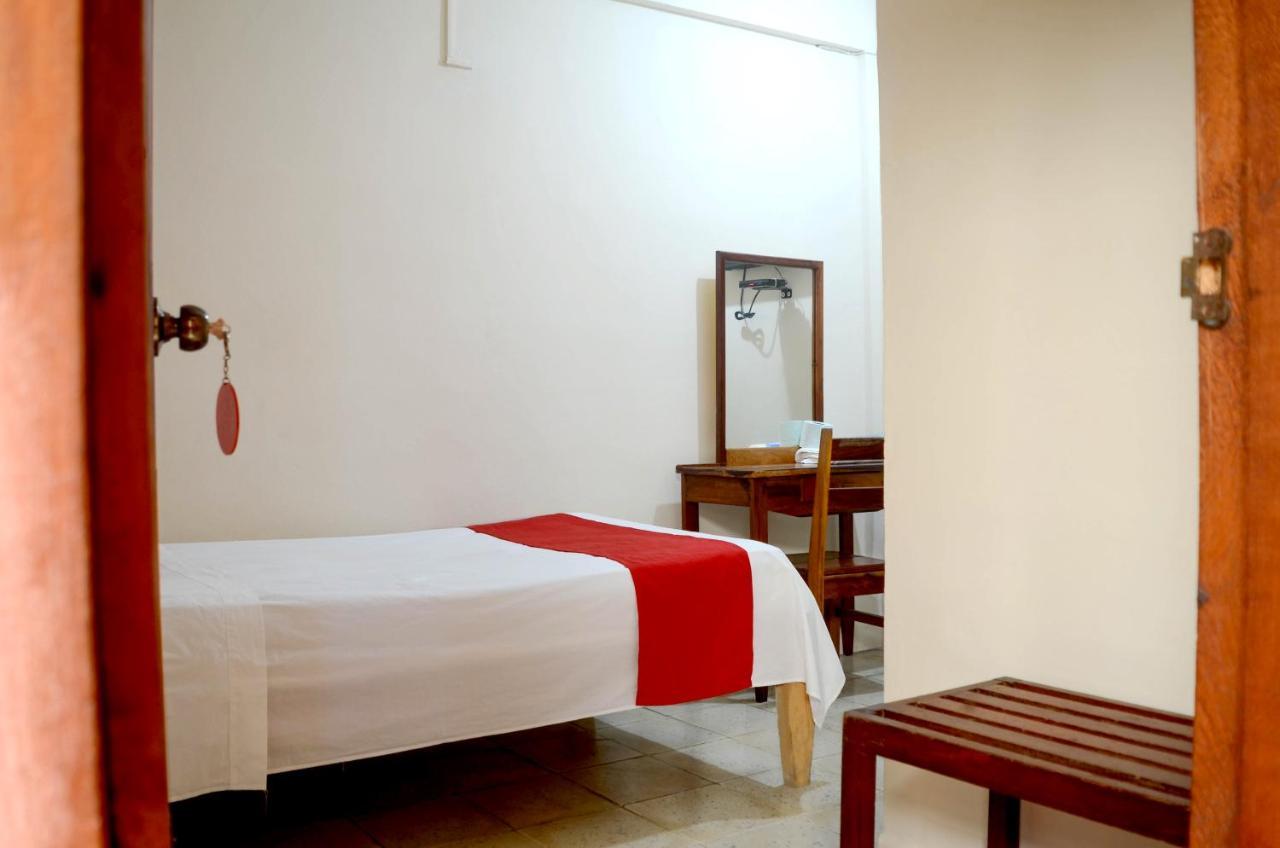 Hotel Rosa Del Alba チェトゥマル エクステリア 写真